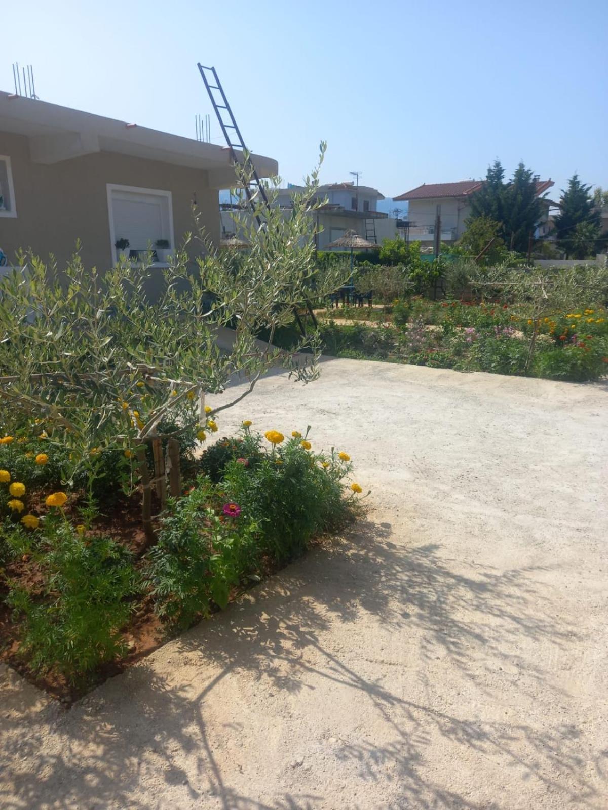 מלון Vlorë Rey Garden 2 מראה חיצוני תמונה