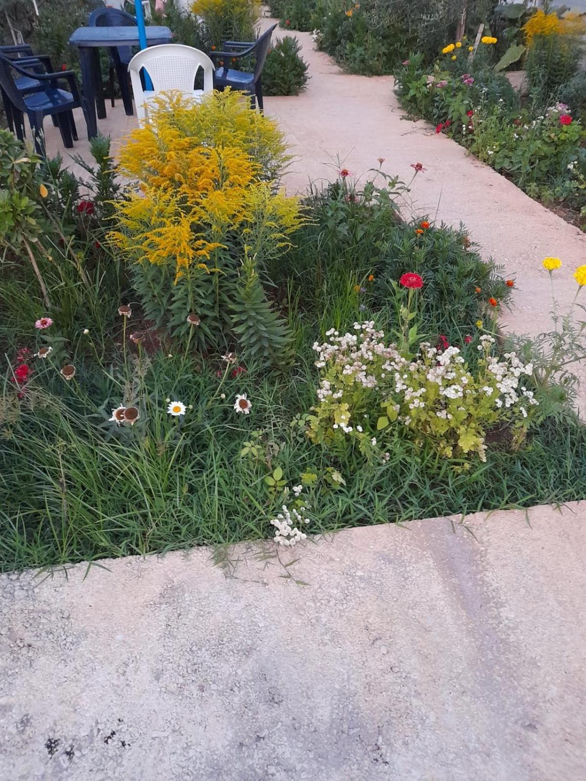 מלון Vlorë Rey Garden 2 מראה חיצוני תמונה